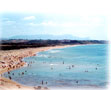 Spiaggia la Pineta
